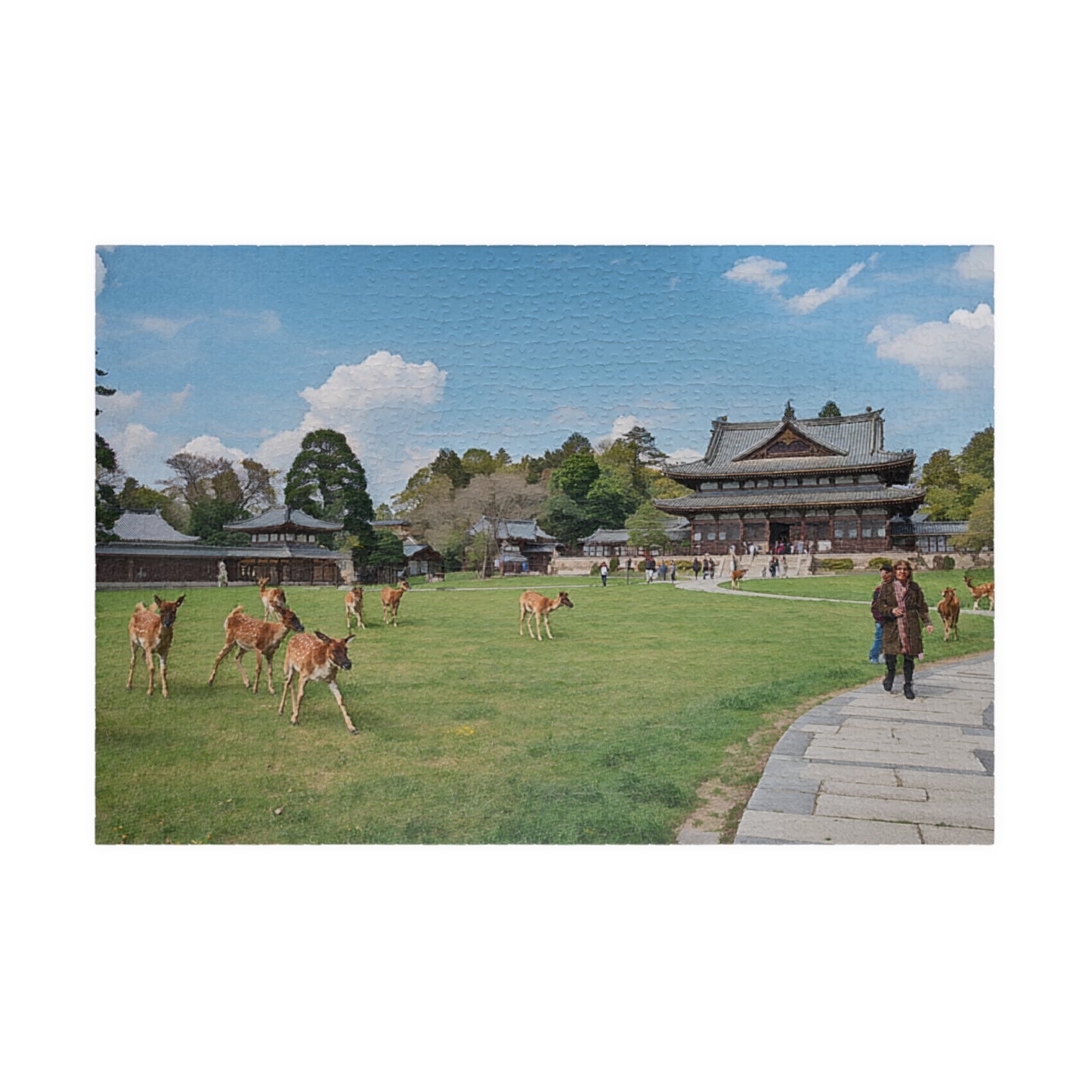 Jigsaw Puzzle (110, 252, 520, 1014-piece) Nara: Nara Park
