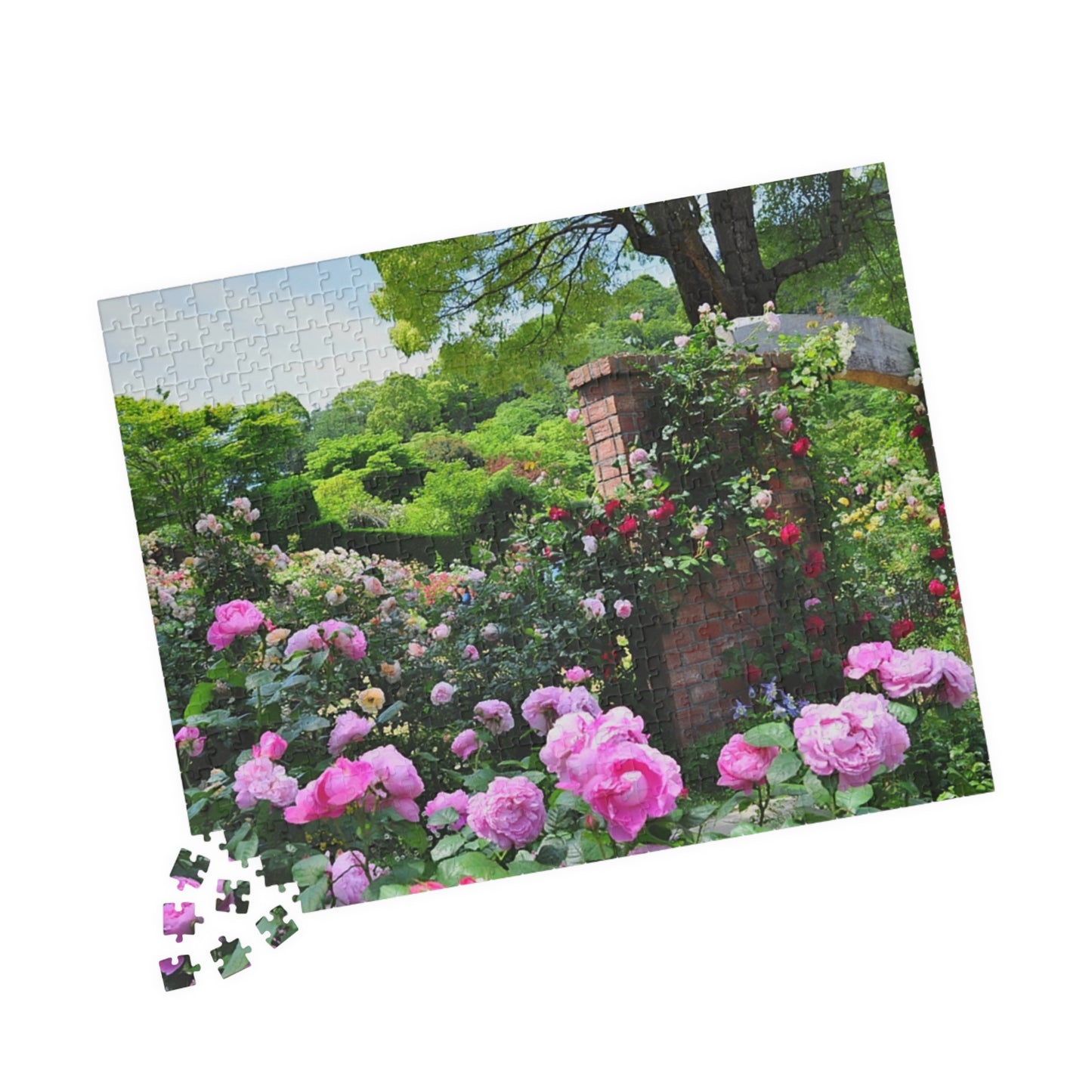 Jigsaw Puzzle (110, 252, 520, 1014-piece) Izu: Akao Forest