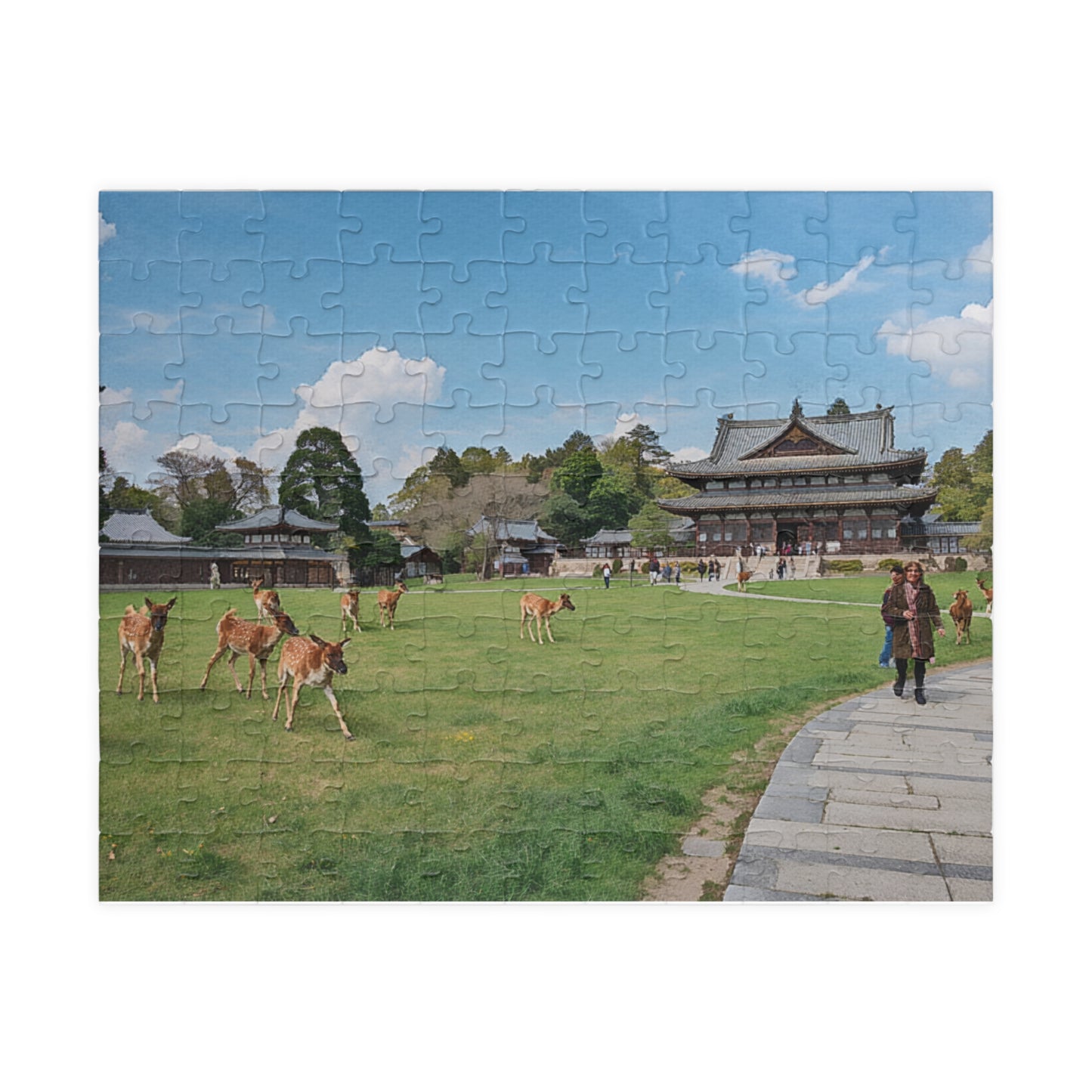Jigsaw Puzzle (110, 252, 520, 1014-piece) Nara: Nara Park