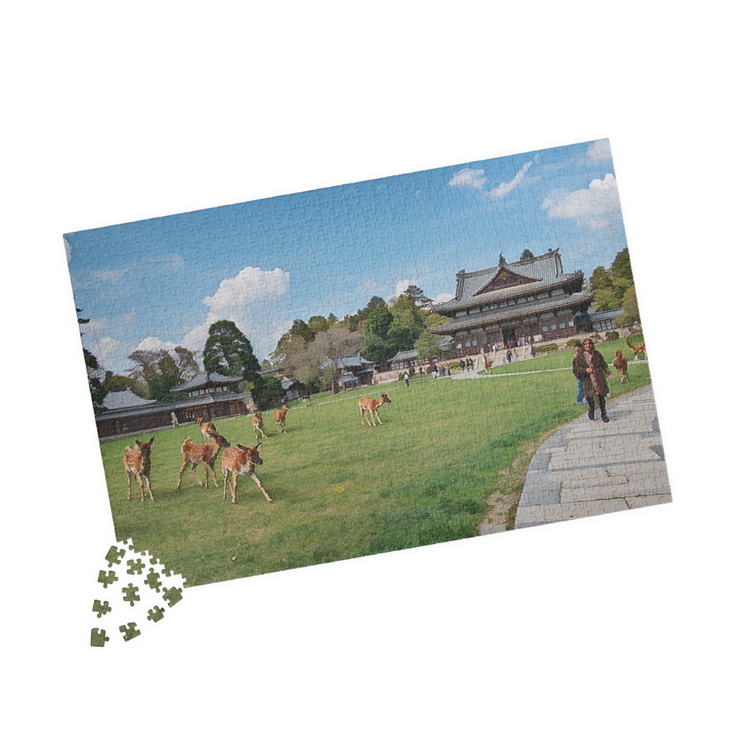 Jigsaw Puzzle (110, 252, 520, 1014-piece) Nara: Nara Park
