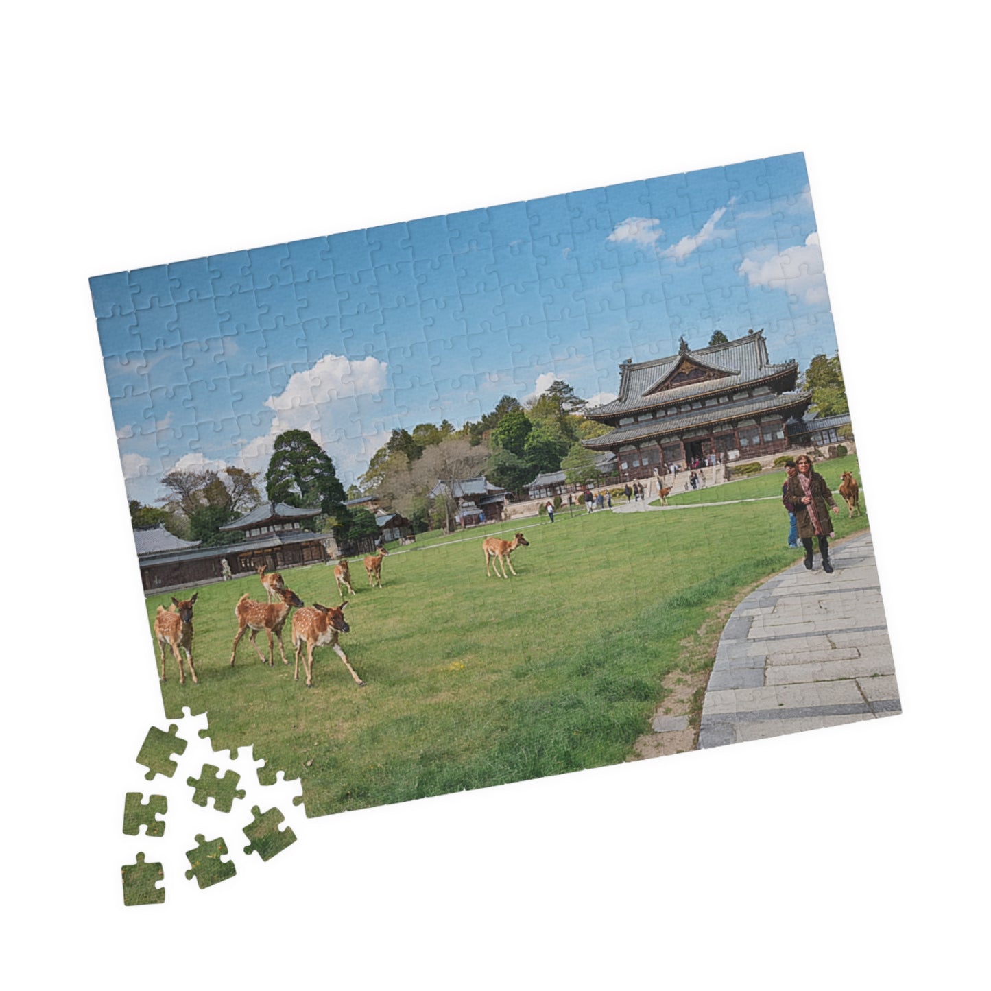 Jigsaw Puzzle (110, 252, 520, 1014-piece) Nara: Nara Park